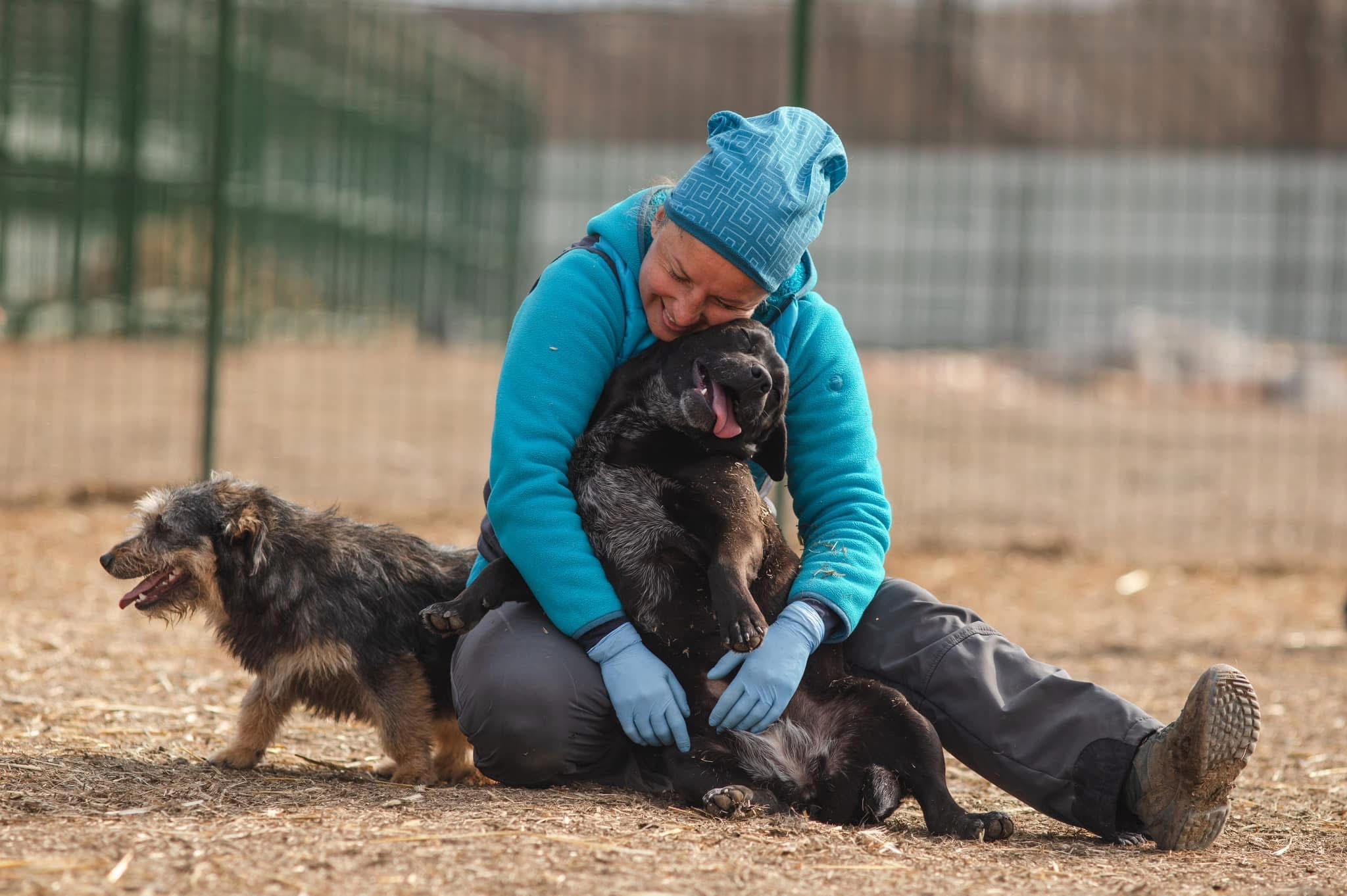 Ana-Maria Sirius, fondatoare